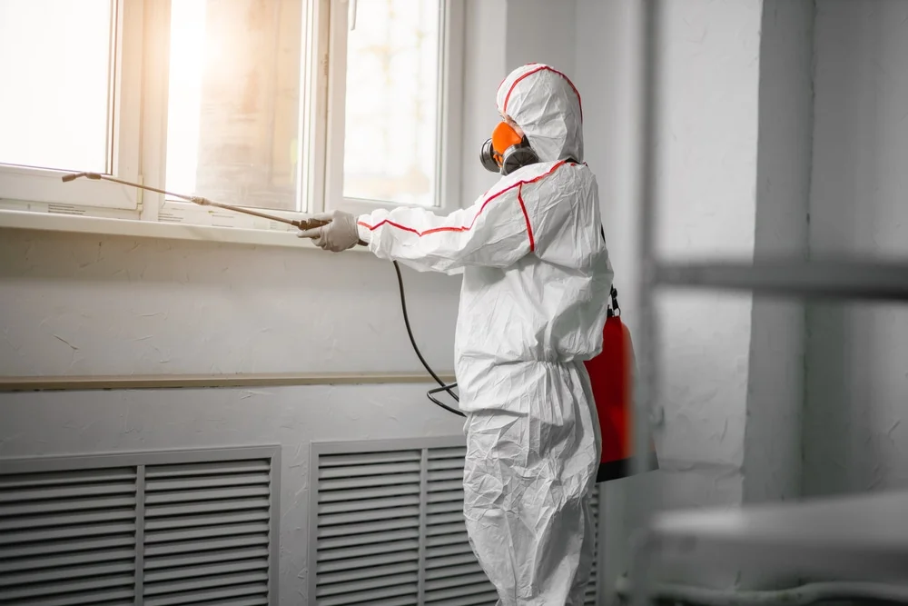 Professional mold remediation services in Silver Lake, IN